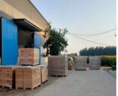 中国 Dezhou TOP Fitness Equipment Co., Ltd.